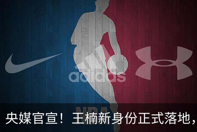 央媒官宣！王楠新身份正式落地，资产查封、被调查传闻，早有真相