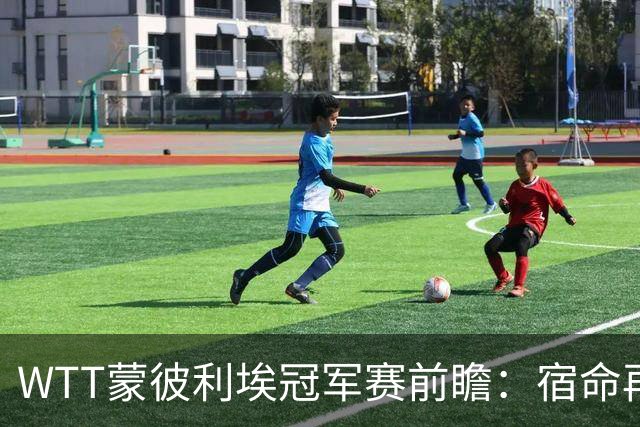 WTT蒙彼利埃冠军赛前瞻:宿命再遇,蒯曼再战张本美和能否复仇?